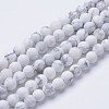 Natural Howlite Beads Strands X-G-T055-8mm-02-1