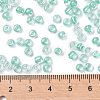 6/0 Glass Seed Beads SEED-A015-4mm-2219-4