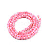 Natural Freshwater Shell Beads Strands SHEL-N003-33-A09-2