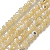 Natural Trochus Shell Beads Strands SSHEL-H072-13A-1