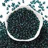 Glass Seed Beads SEED-L011-02A-06-2