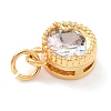Real 18K Gold Plated Brass Inlaid Cubic Zirconia Charms ZIRC-L100-081G-05-4