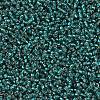 MIYUKI Round Rocailles Beads X-SEED-G007-RR0030-3