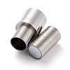 Tarnish Resistant 304 Stainless Steel Magnetic Clasps with Glue-in Ends STAS-M297-05P-2