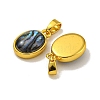 Rack Plating Brass Pave Natural Paua Shell Oval Charms KK-U025-07G-02-2