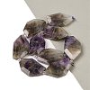 Natural Amethyst Beads Strands G-P548-A02-01-2