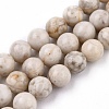 Natural Maifanite/Maifan Stone Beads Strands G-I187-6mm-01-5