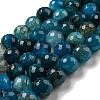 Faceted Natural Dragon Veins Agate Beads Strands G-F447-12mm-P05-1