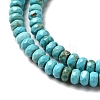 Natural Howlite Beads Strands G-C025-10B-4
