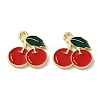 Fruit Alloy Enamel Charms LS-PALLOY-S058-01LG-10-1