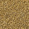 MIYUKI Delica Beads SEED-JP0008-DB0410-3