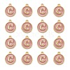 Golden Plated Alloy Enamel Charms X-ENAM-S118-07C-2