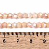 Ombre Effect Dyed Glass Beads Strands LS-GLAA-T025-4mm-09A-4