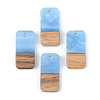 Resin & Walnut Wood Pendants RESI-S389-044A-2