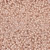 MIYUKI Round Rocailles Beads LS-X-SEED-G007-RRHB279-2