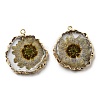 Inner Dried Flower Resin Pendants RESI-P028-02KCG-05-1