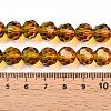Baking Paint Transparent Glass Beads Strands LS-DGLA-A035-T10mm-A05-5