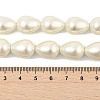 Teardrop Shell Pearl Beads Strands BSHE-XCP0001-12-4