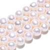 Natural Cultured Freshwater Pearl Beads Strands PEAR-N016-06A-4