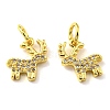 Rack Plating Brass Micro Pave Cubic Zirconia Charms KK-D036-07G-2