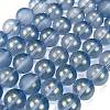 Frosted Transparent Glass Bead Strands GLAA-P065-10mm-10-2