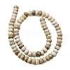 Natural Fossil Coral Beads Strands G-A280-A08-02-3
