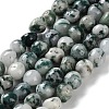 Natural Tree Agate Beads Strands G-NH0035-01-1