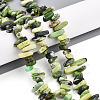 Natural Serpentine Beads Strands G-T140-62-1