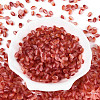 Frosted Glass Seed Beads SEED-N008-05E-2