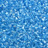 Glass Bugle Beads SEED-S032-11A-103-3