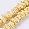 Natural Sea Shell Beads Strands X-BSHE-K012-08B-1