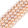 Natural Cultured Freshwater Pearl Beads Strands PEAR-I007-01C-01B-2