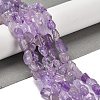 Natural Amethyst Beads Strands G-P497-01E-21-2