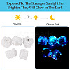 Polymer Clay with Imitation Pearl Beads CLAY-TAC0020-02A-3