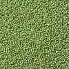 TOHO Round Seed Beads SEED-JPTR15-0945-2