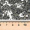 MIYUKI Delica Beads SEED-X0054-DB2507-3