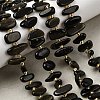 Natural Golden Sheen Obsidian Beads Strands G-L649-A04-01-1