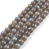 Grade AA Natural Gemstone Labradorite Round Beads Strands X-G-E251-33-6mm-3