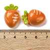 Resin Cabochons X1-CRES-Z010-03E-3