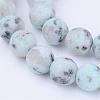 Natural Sesame Jasper/Kiwi Jasper Beads Strands G-Q462-10mm-17-1