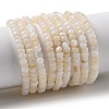 Natural Freshwater Shell Beads Strands SHEL-P017-01B-02-1