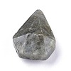 Natural Labradorite Pendants G-L564-002-C01-2
