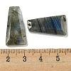 Natural Labradorite Pendants G-G123-02D-3