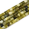 Natural Xiuyan Jade Beads Strands G-T141-86B-02-4