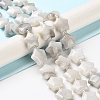 Natural White Crazy Lace Agate Beads Strands G-NH0005-019-2