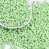 Baking Paint Glass Seed Beads X1-SEED-K010-A18-1