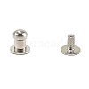 Zinc Alloy Rivets Set PW-WGCEAE9-06-1