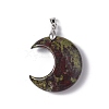 Natural Dragon Blood Jasper Pendants G-Z022-04J-2