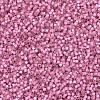 MIYUKI Delica Beads SEED-MY11-DB0625-3