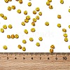 6/0 Opaque Colours Seep Glass Seed Beads X-SEED-F003-04A-01-4